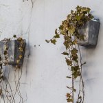 tropiart.pl-tropiart.pl-334-3485