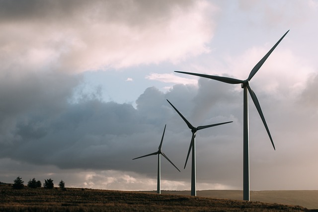 W-ekosolarzory-2025-04 - ekosolarzory_energia odnawialna_28_3.jpg