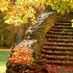 tropiart – tropi (3)